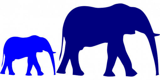 blauer Elefant